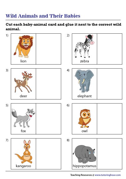 Wild Animals Worksheet By Magda Animals Wild Animal Worksheets Animal 