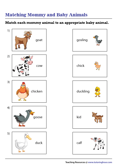 match the animal to its baby answers