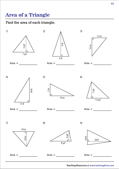 Area Of Triangles Worksheets 5672