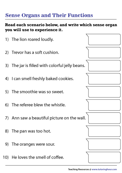 Soda K rek D ar da Sense Organs Worksheet Thumpermassagereurope