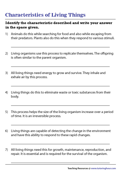 Characteristics Of Living Things Worksheet