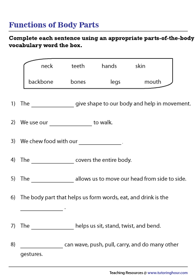 Functions Of Body Parts Worksheet