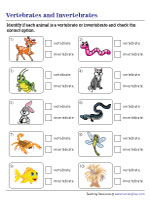 chart vertebrates invertebrates worksheet