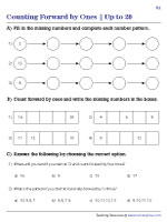 Counting on by Ones within 20 - Revision